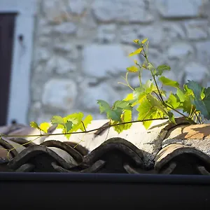 https://hotel-filipini.in-istria.net